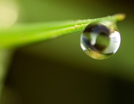 Economiser l'eau dans les ménages